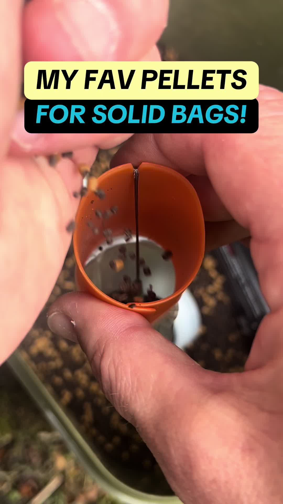 @CarpAddict