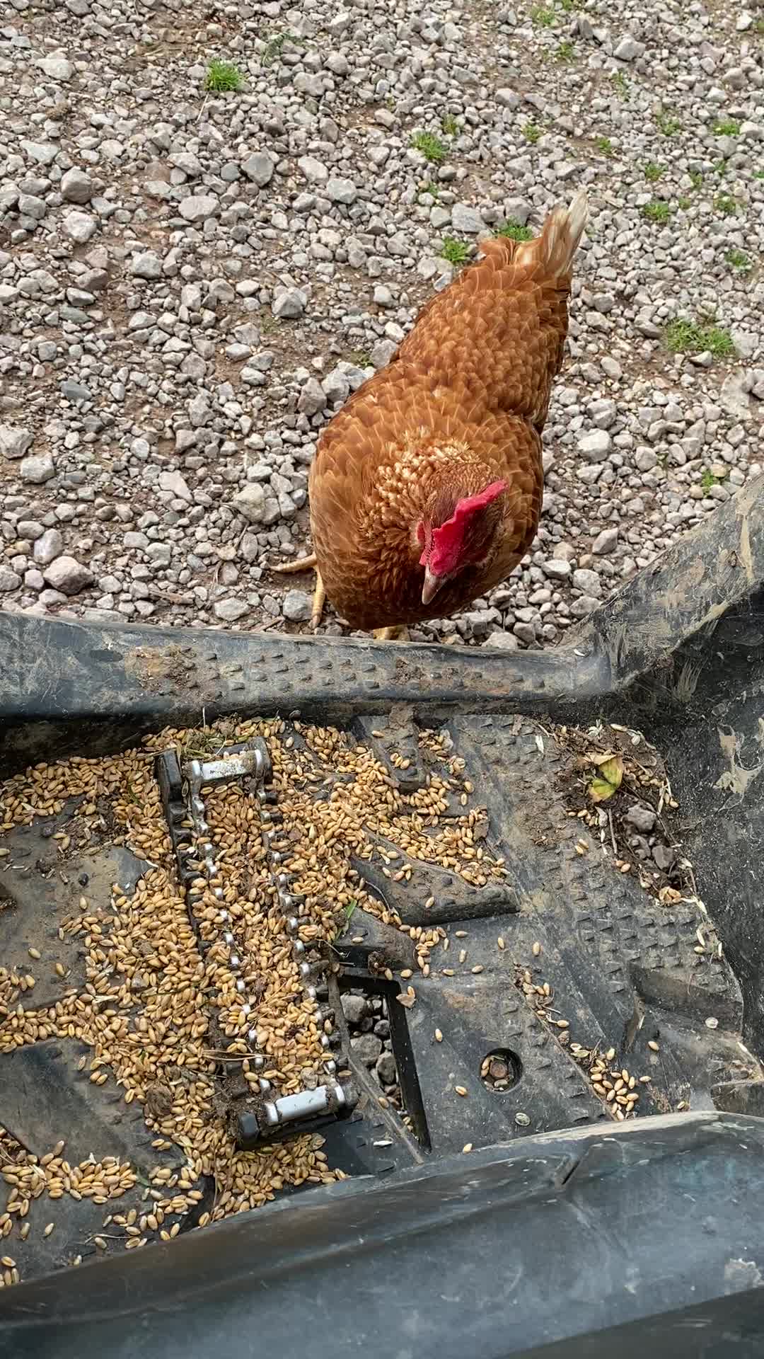 @Farming and gamekeeping
