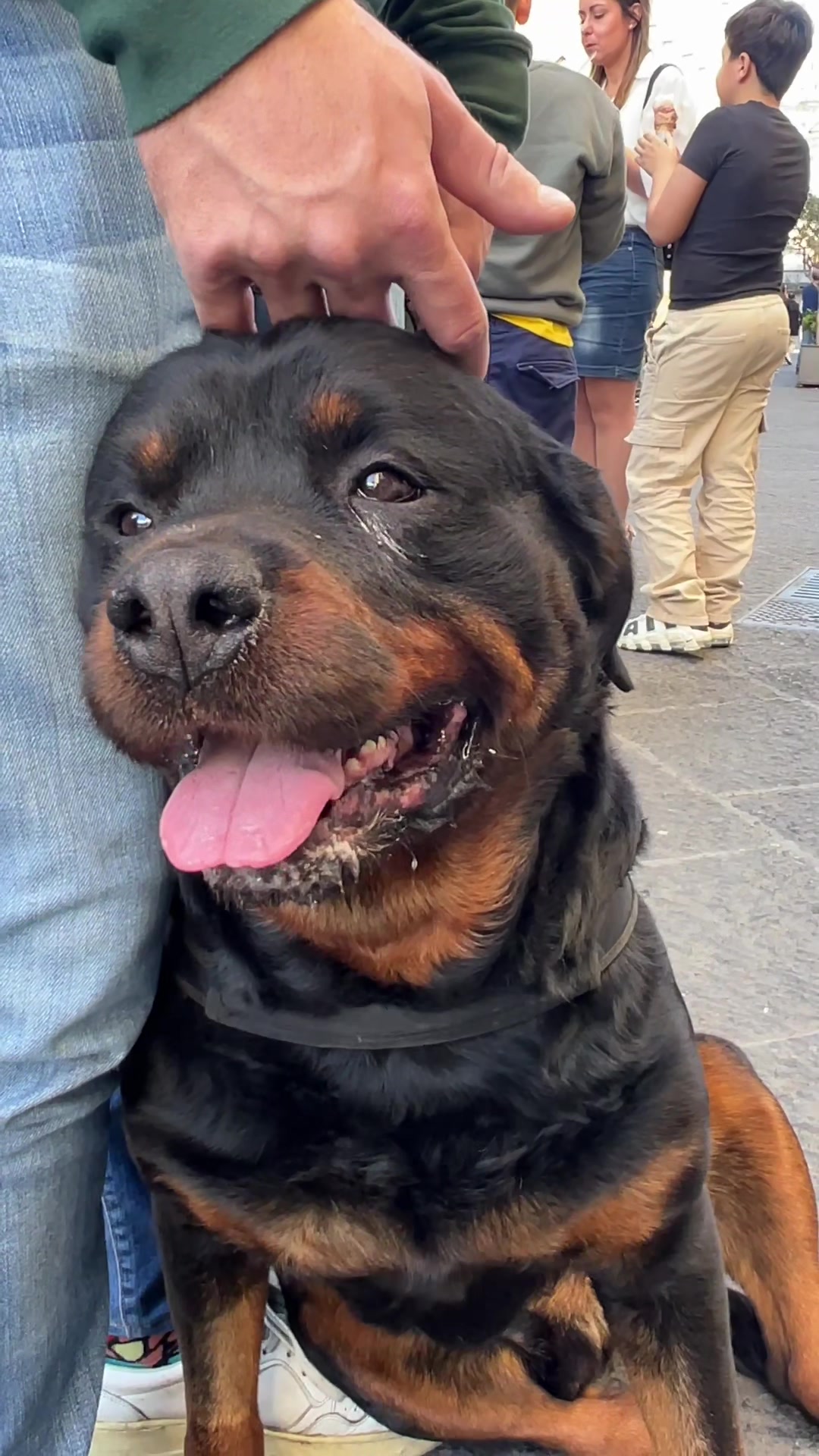 @Tutti pazzi per Ciro il rott