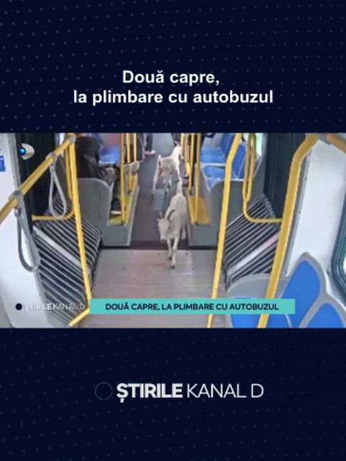 @Stirile Kanal D