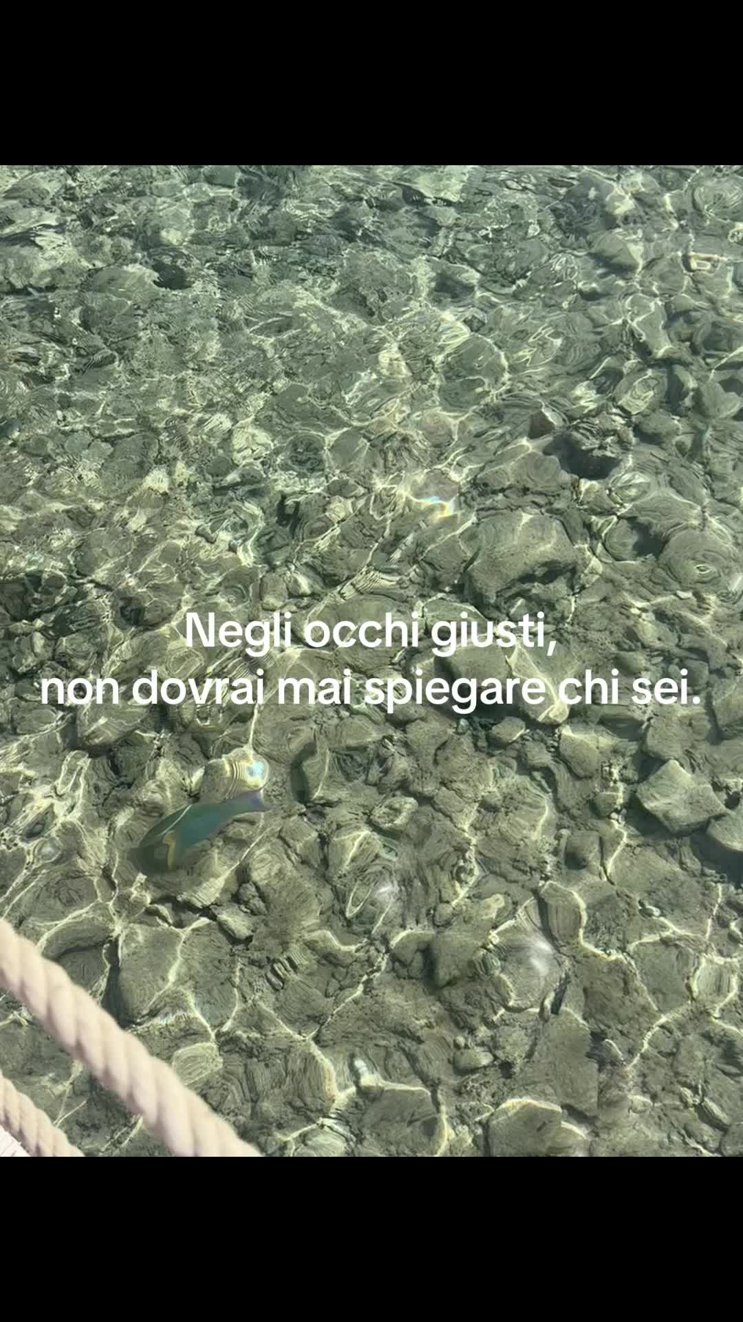 @Josephine Gueli
