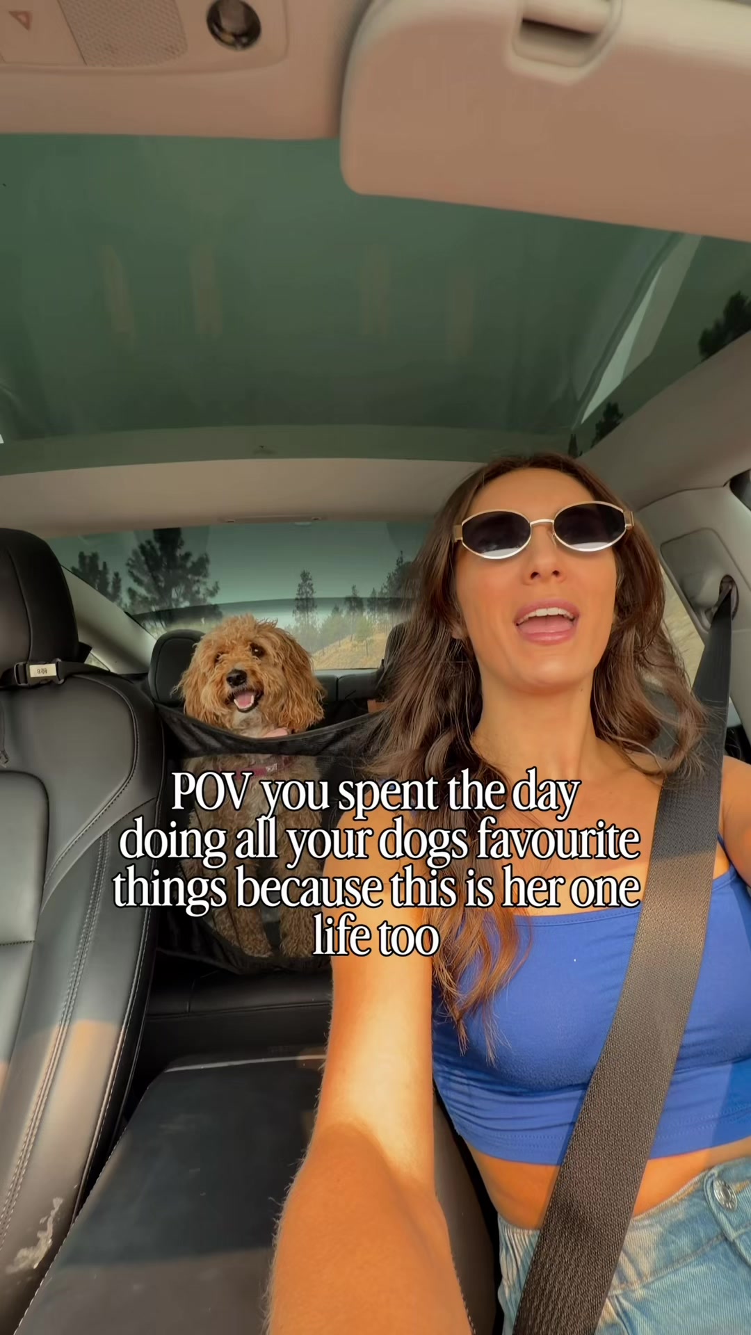 @Roni