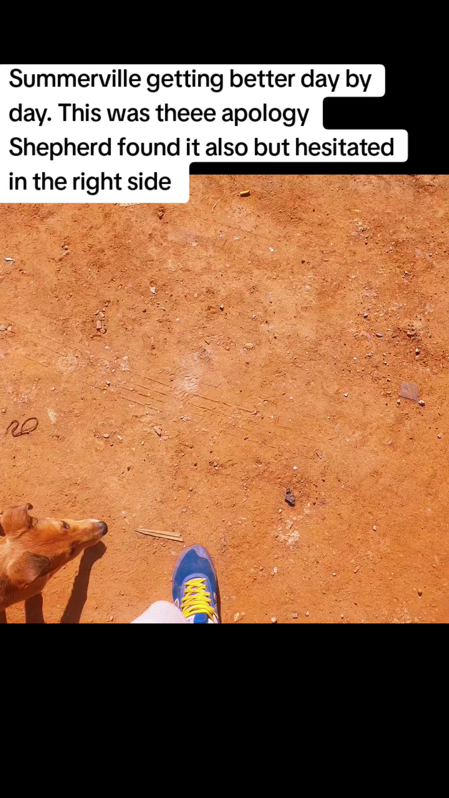 @LifeWithSummerAndShepherd