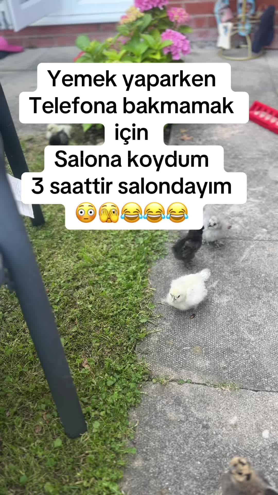 @Çirkin ⋆˚✿🍒𐙚⋆˚
