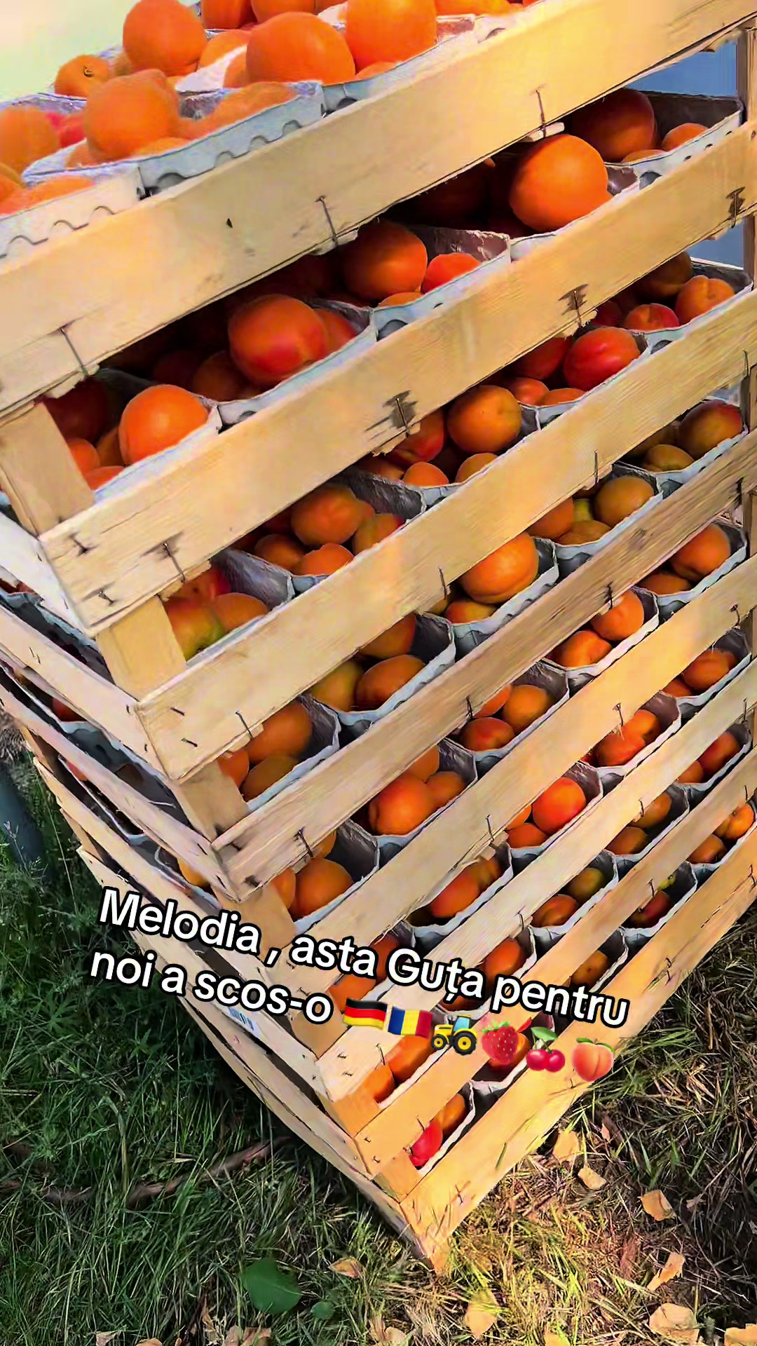 @PuȘcAș 💣💚