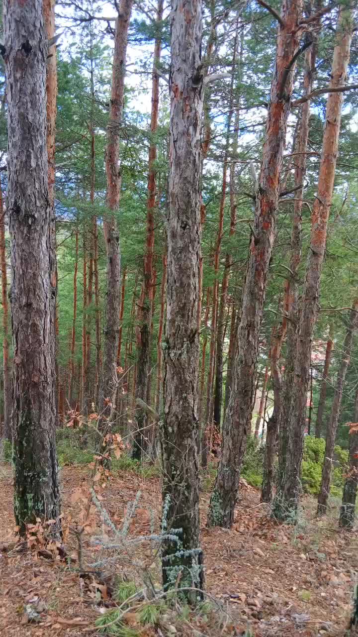 @Гю