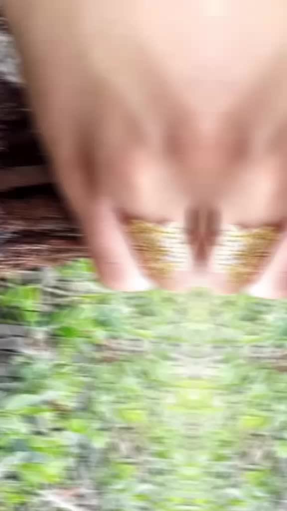@بنت كردي