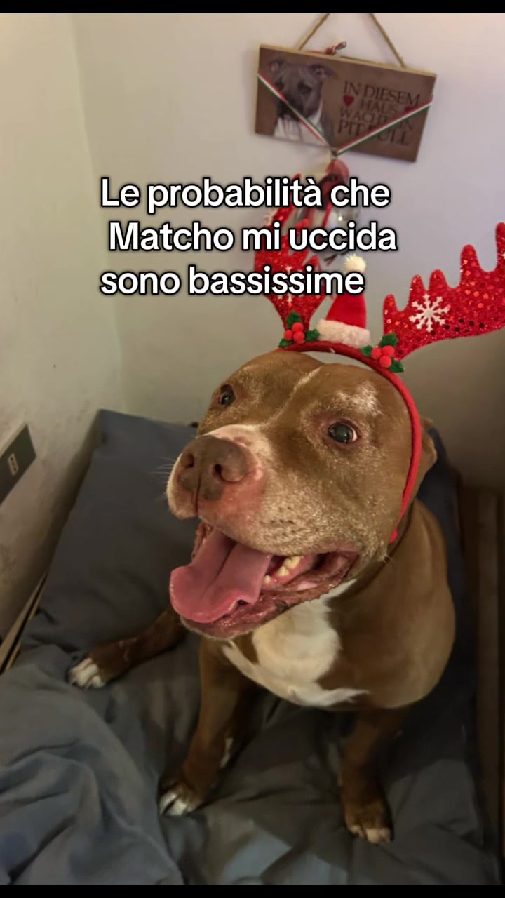 @Ralu00_