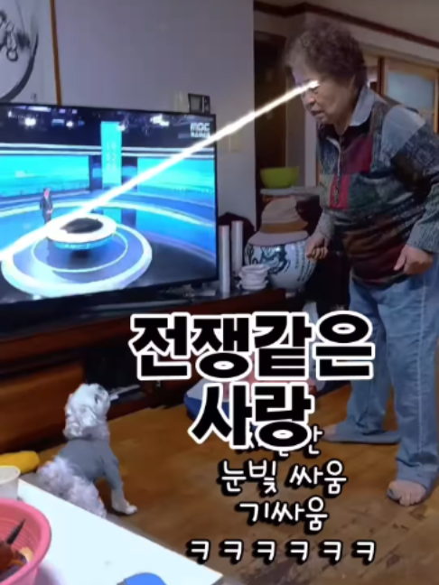 @멍멍일기