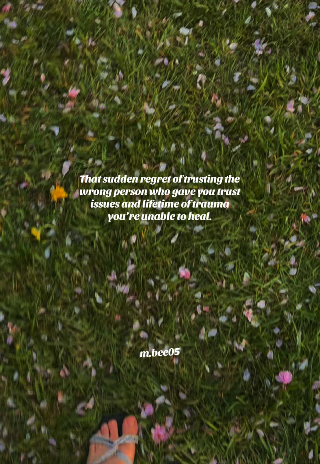 @m.beeo5
