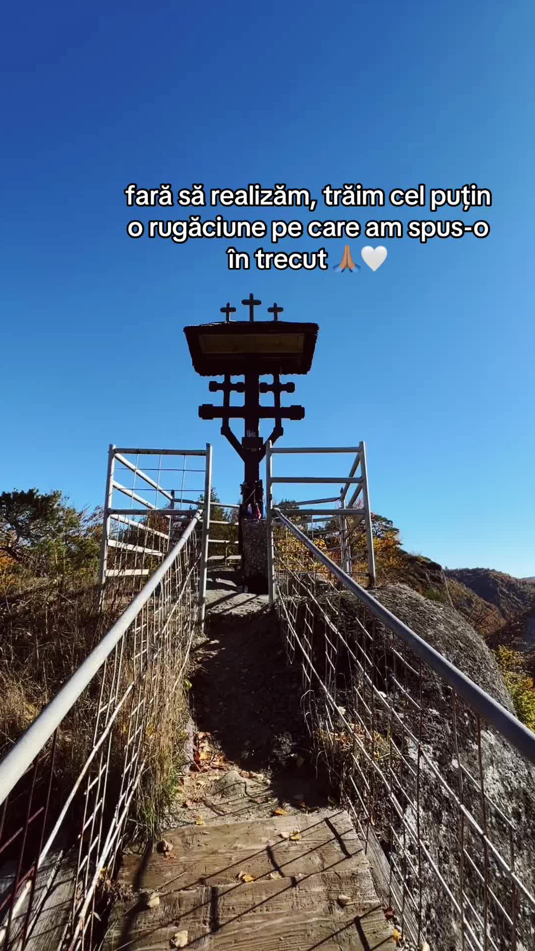 @Mimi