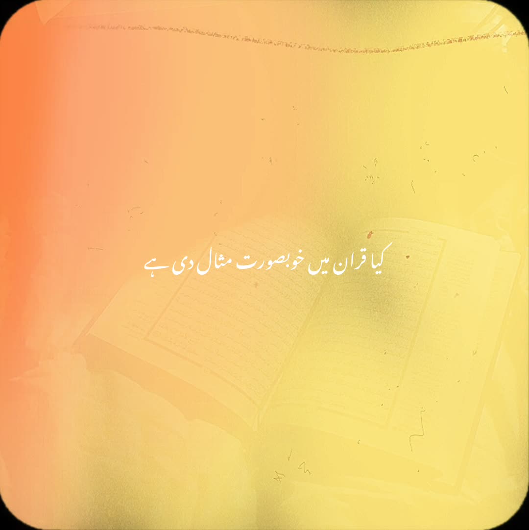 @𝙄𝙨𝙡𝙖𝙢𝙞𝙘 𝙫𝙞𝙙𝙚𝙤🤍🕊️