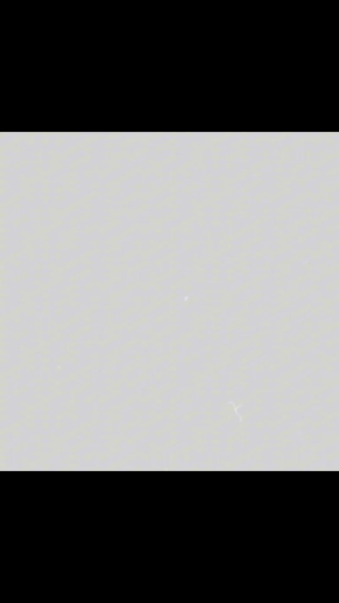 @машп манка