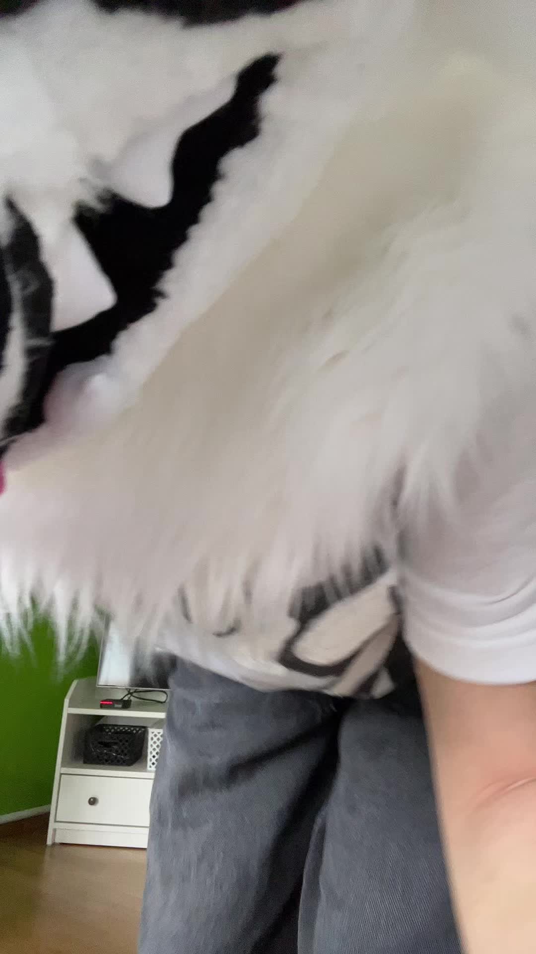 @𝑪𝑨𝑹𝑶𝑿