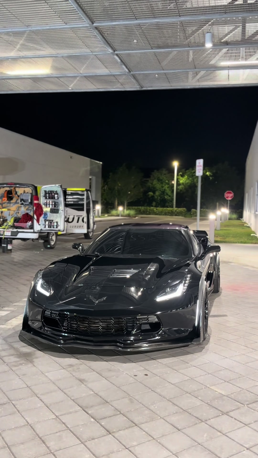 @collier🦇