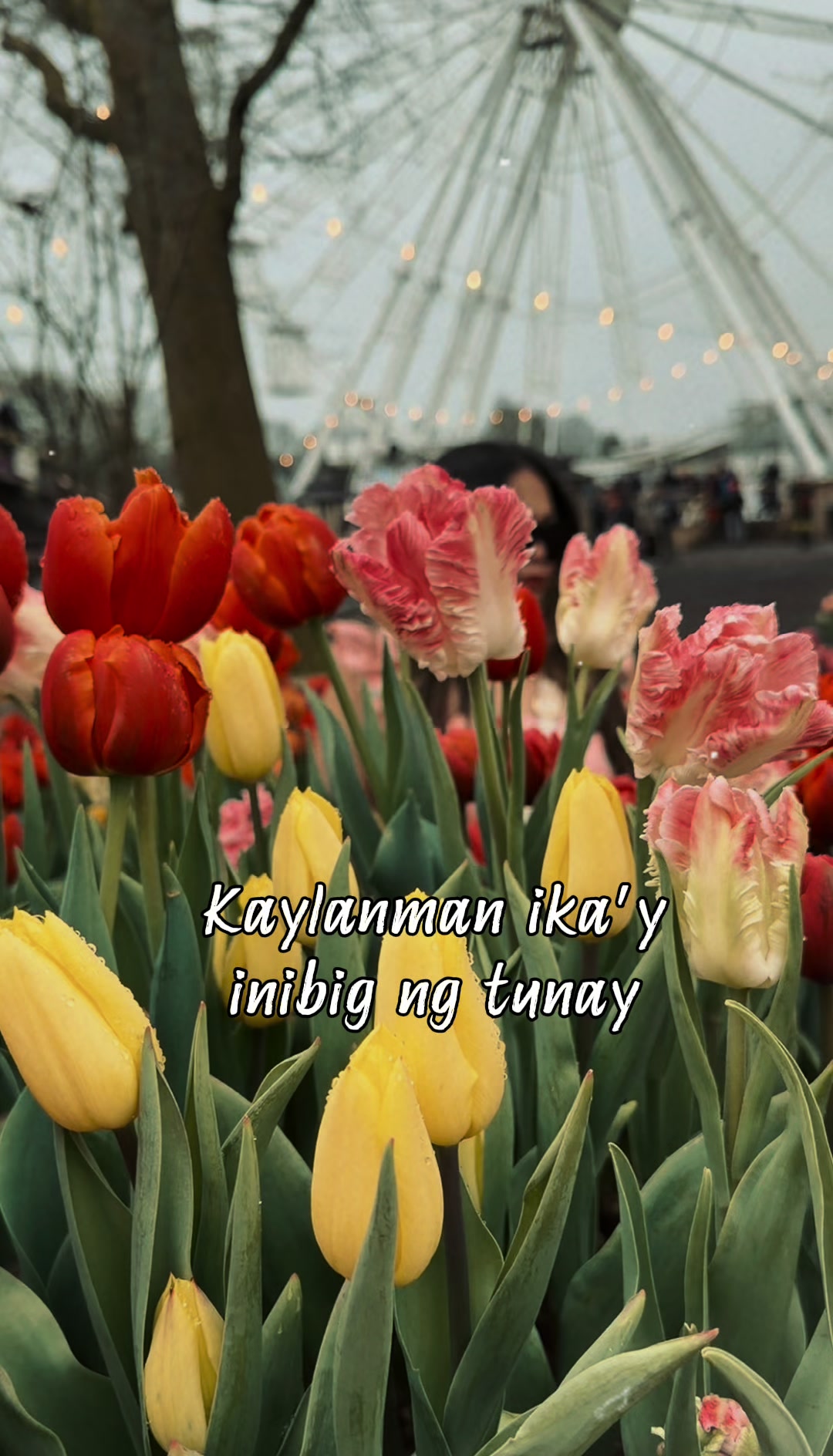@srekab๐ธ๐๐ธ๐ท๐๐น