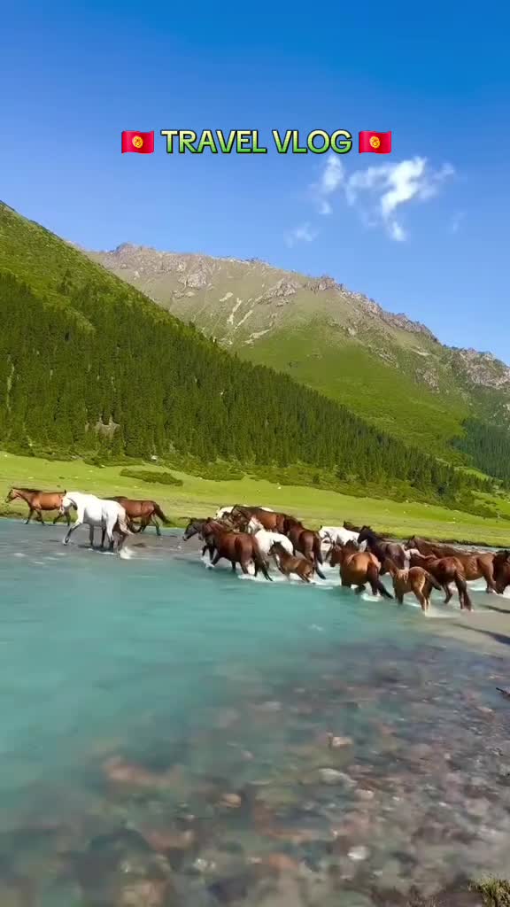 @almazmyrza_09🇰🇬