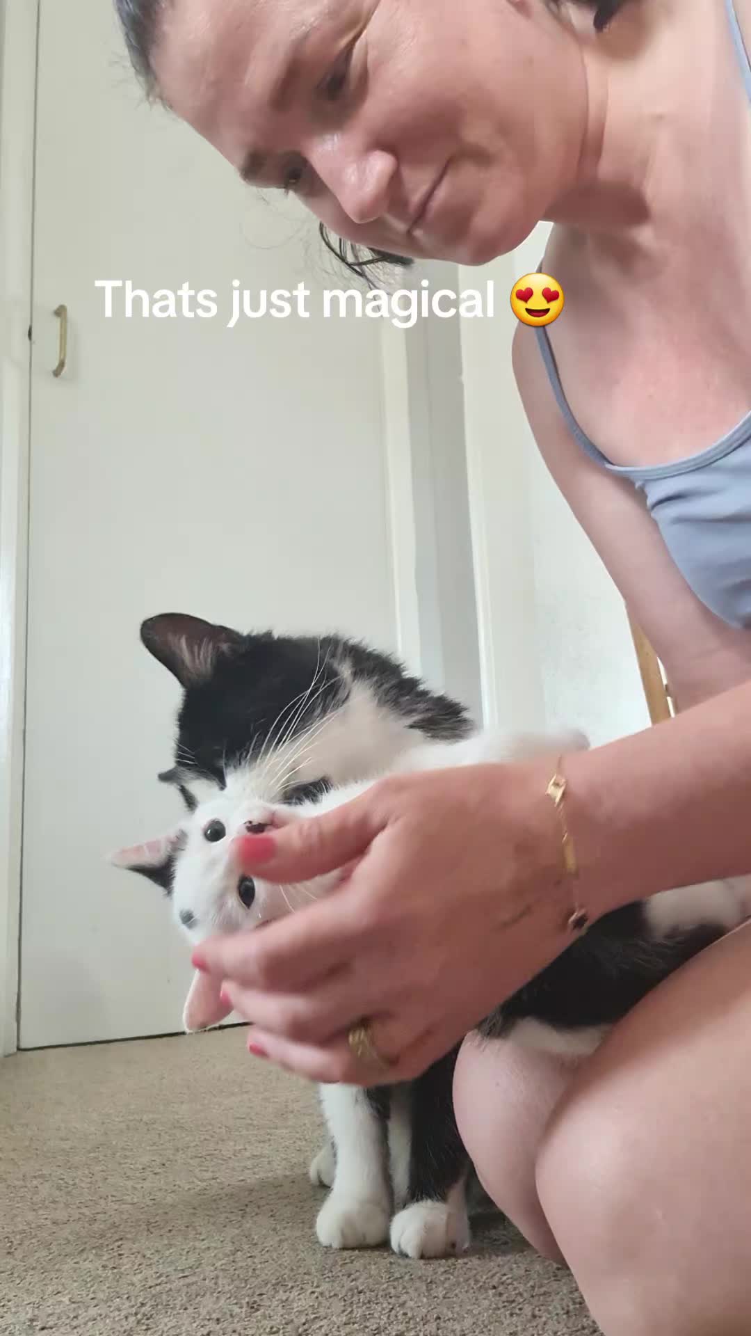 @Wellness for Pet