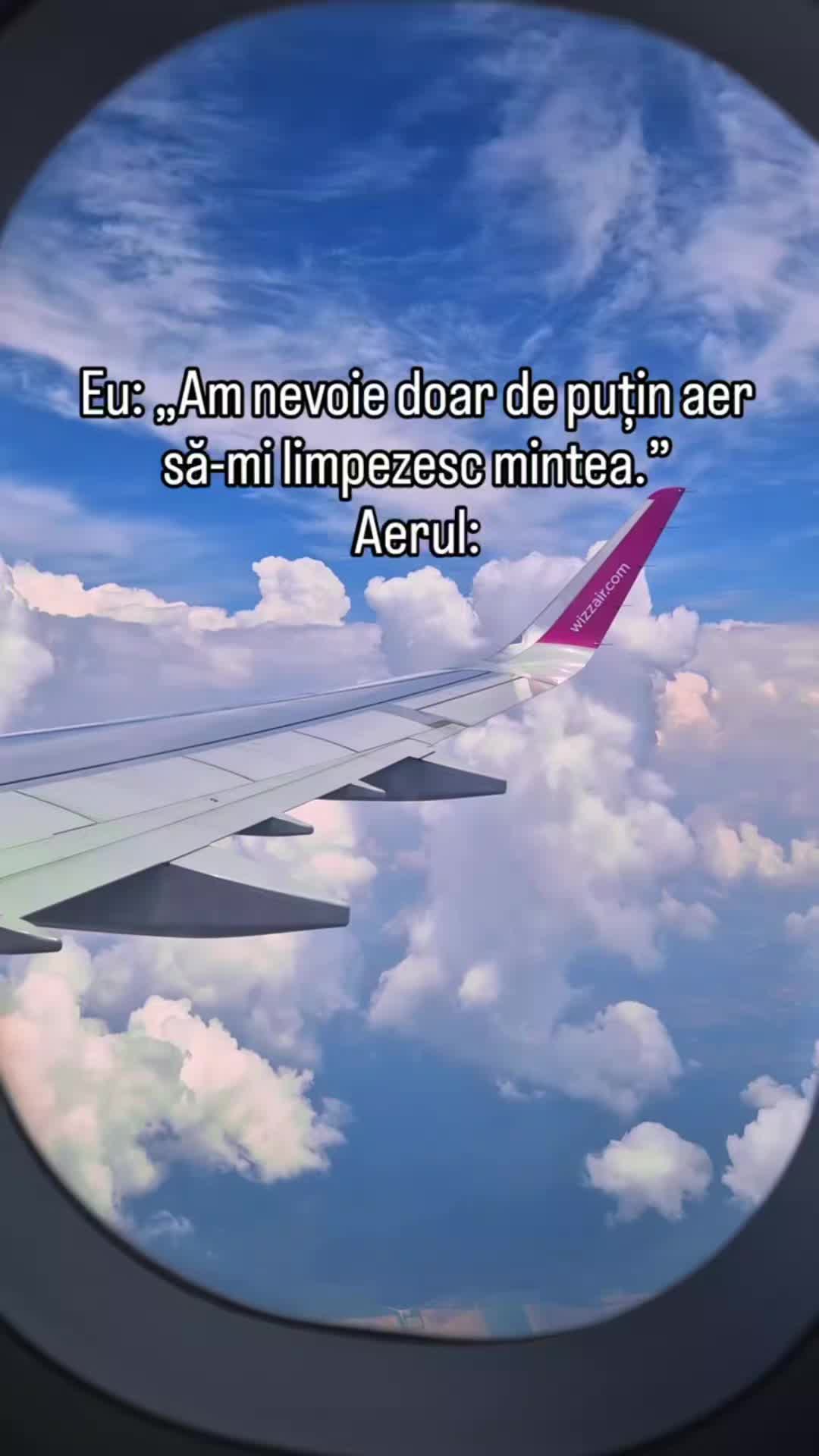 @Adina Manda