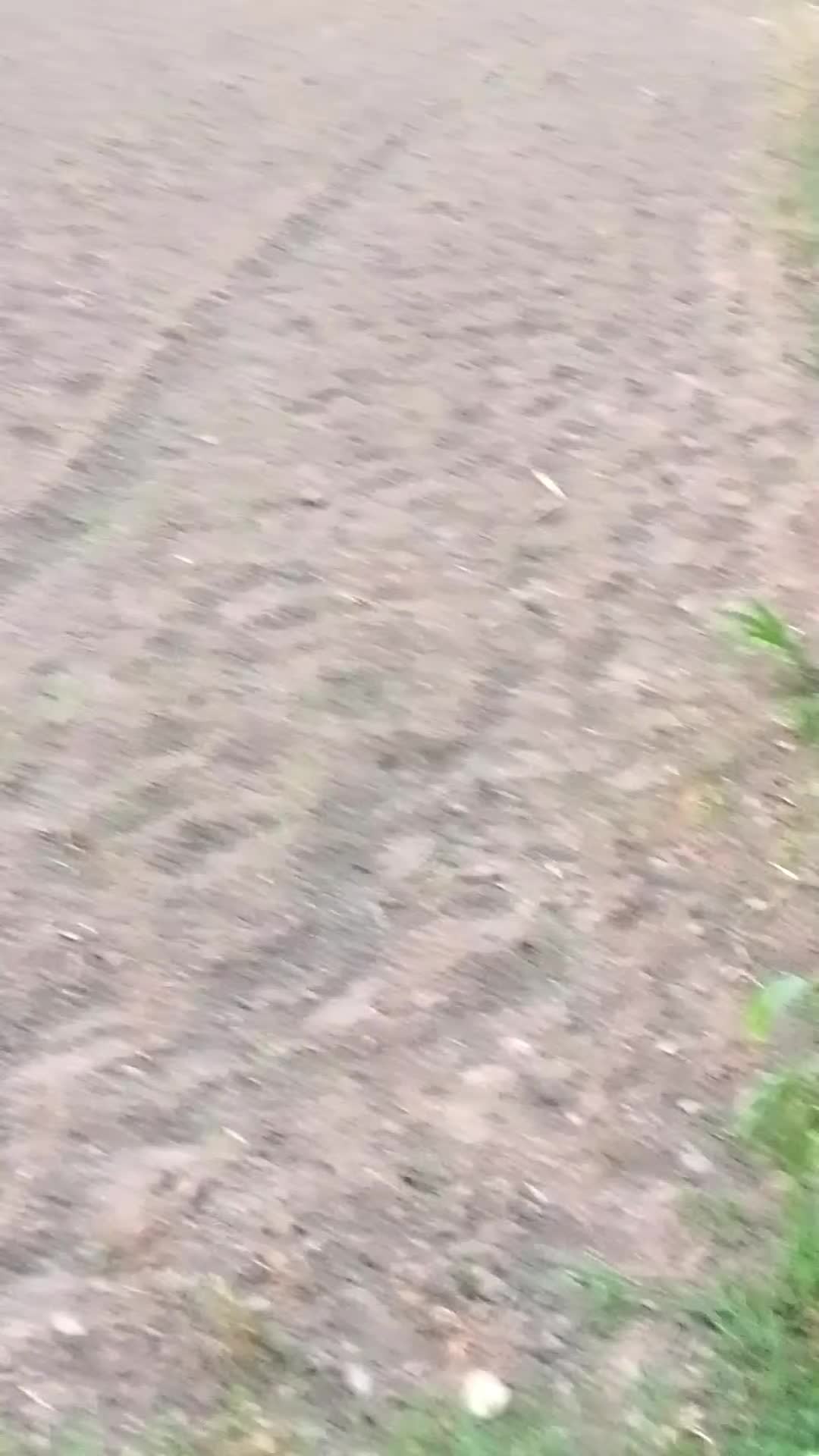 @𝗩 𝗶 𝘃 𝗲𝗼𝗻 🐍