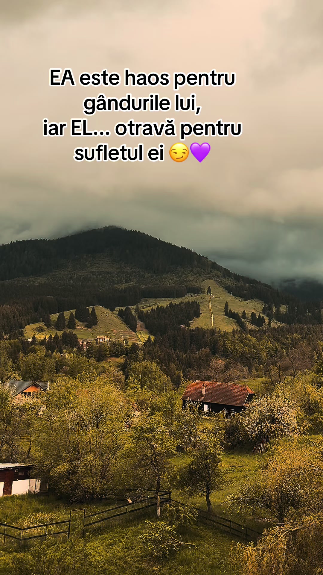 @Annemarie 💜