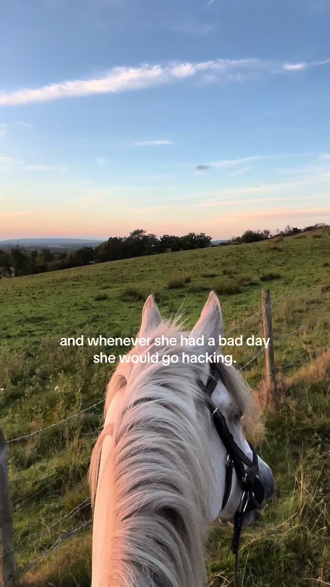 @Abby & Harry 🦄