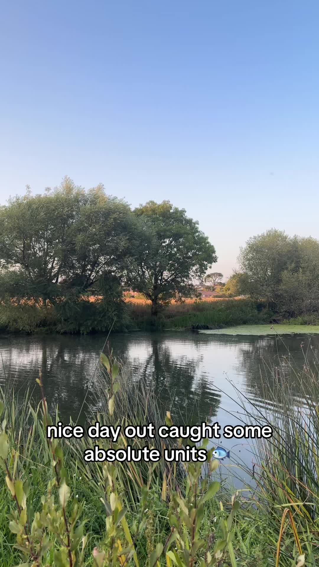 @ellie
