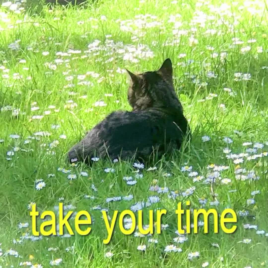 @vagabond_enjoyer
