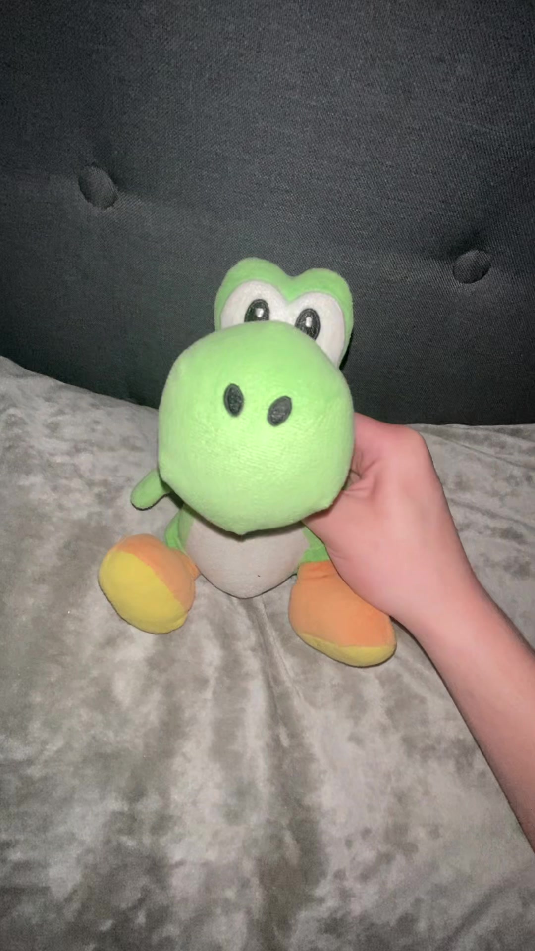 @Disco Chomper