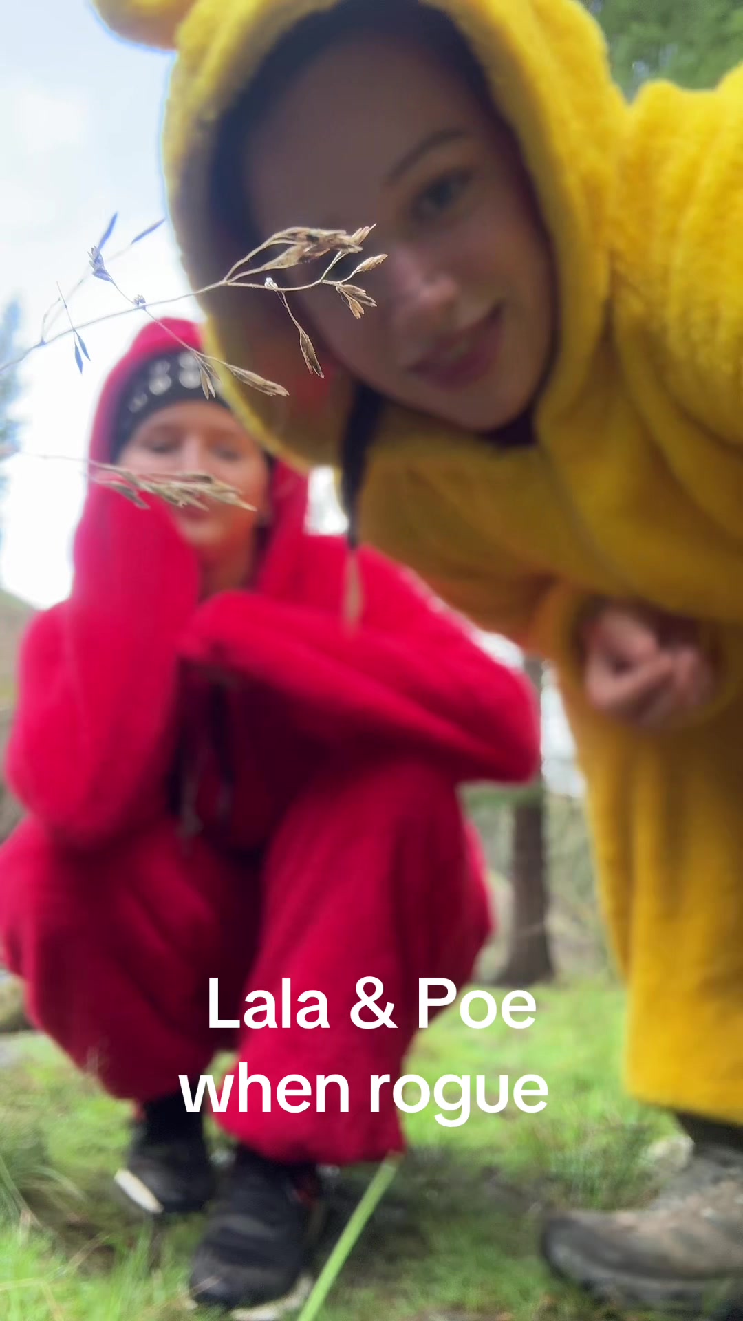 @Lala
