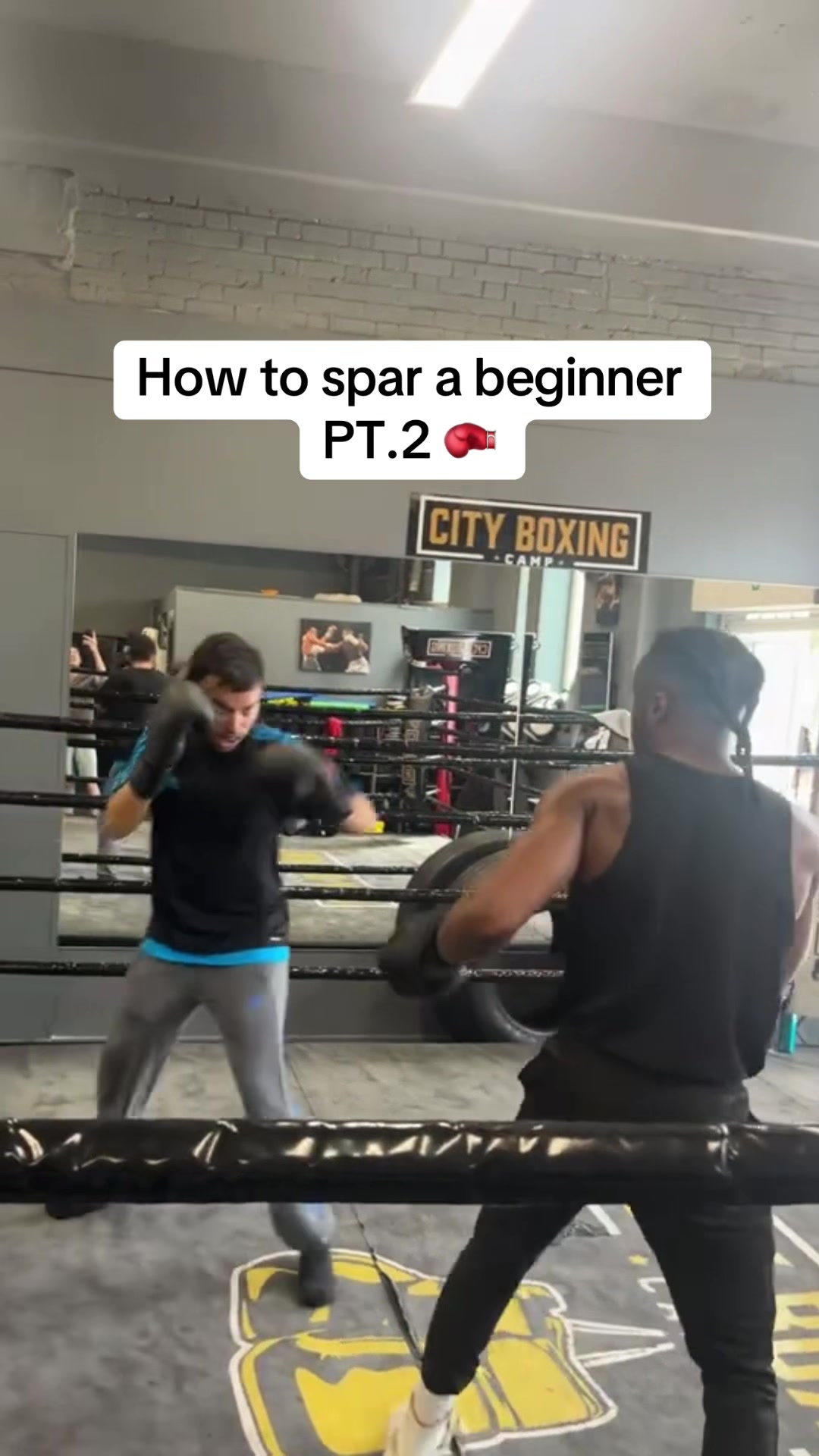 @tmoneyboxing111
