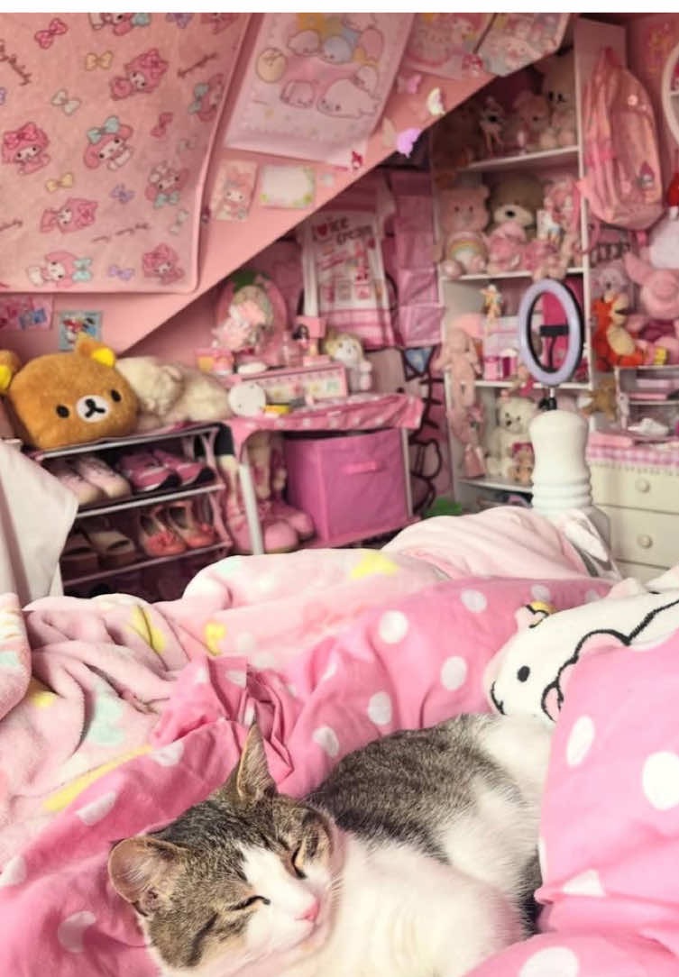 @ヾ🍪 sallymae ヾ( 🎀 ノ'ω')ノ