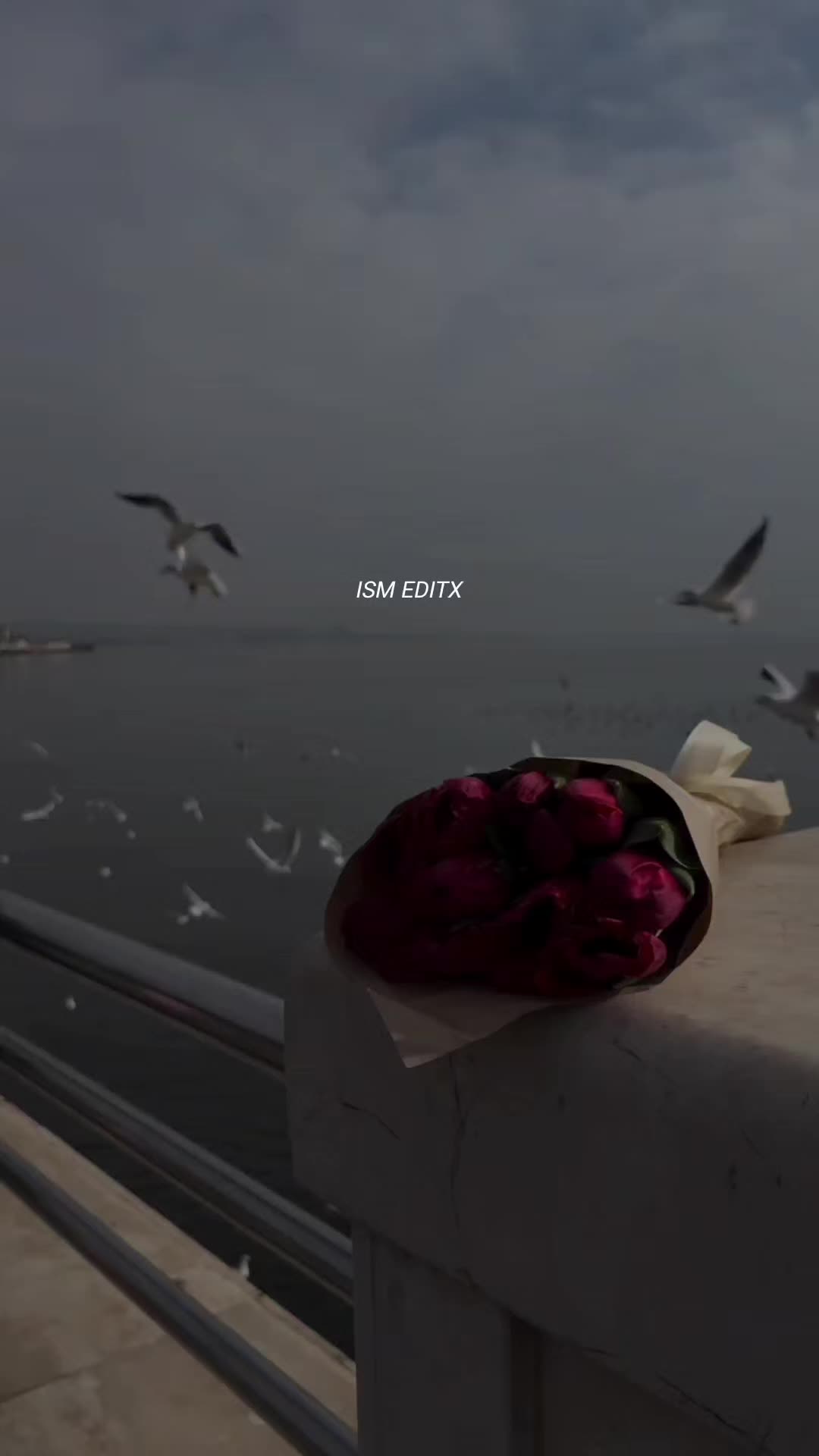 @اقراء❤️🔥