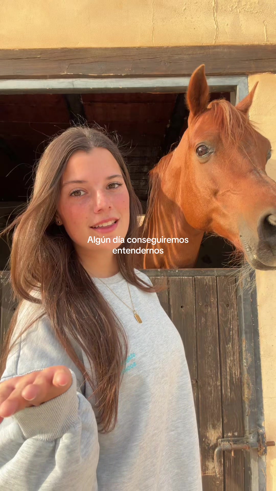@MyHorse