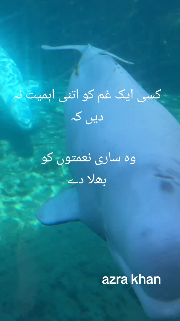 @Talk with Azra khan