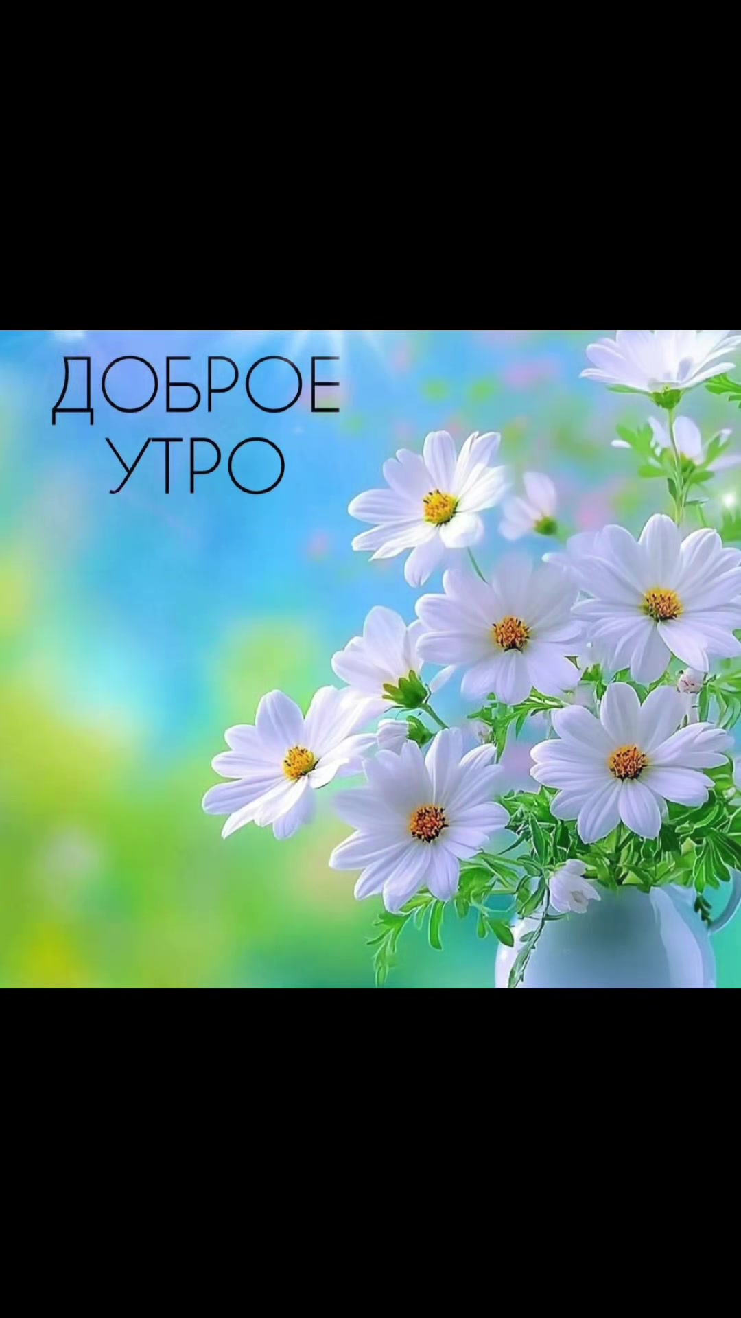 @Oksana Fukleva