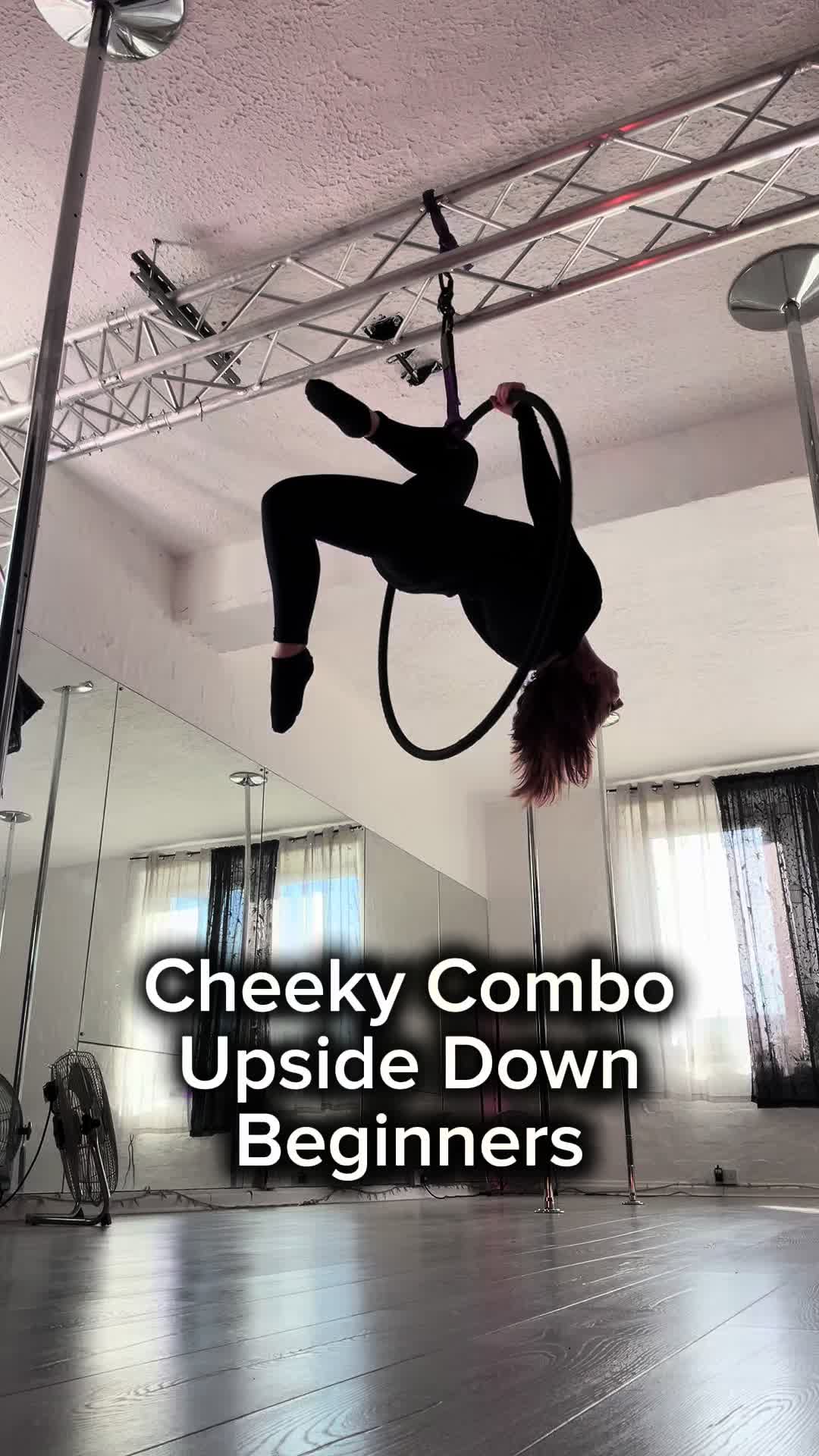 @MichelleT AerialHoop
