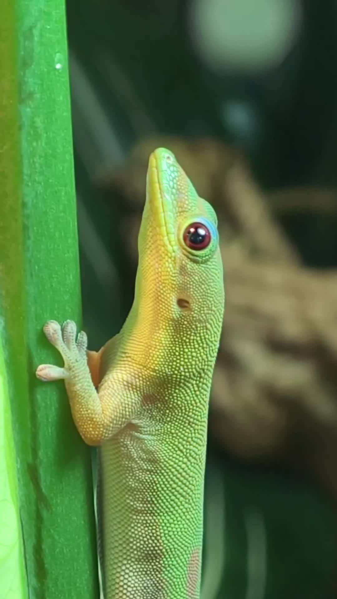 @Bestiesbeasties