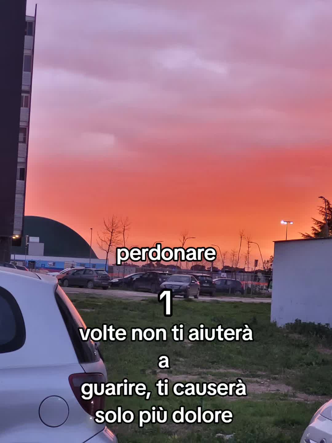 @account.sfogo8