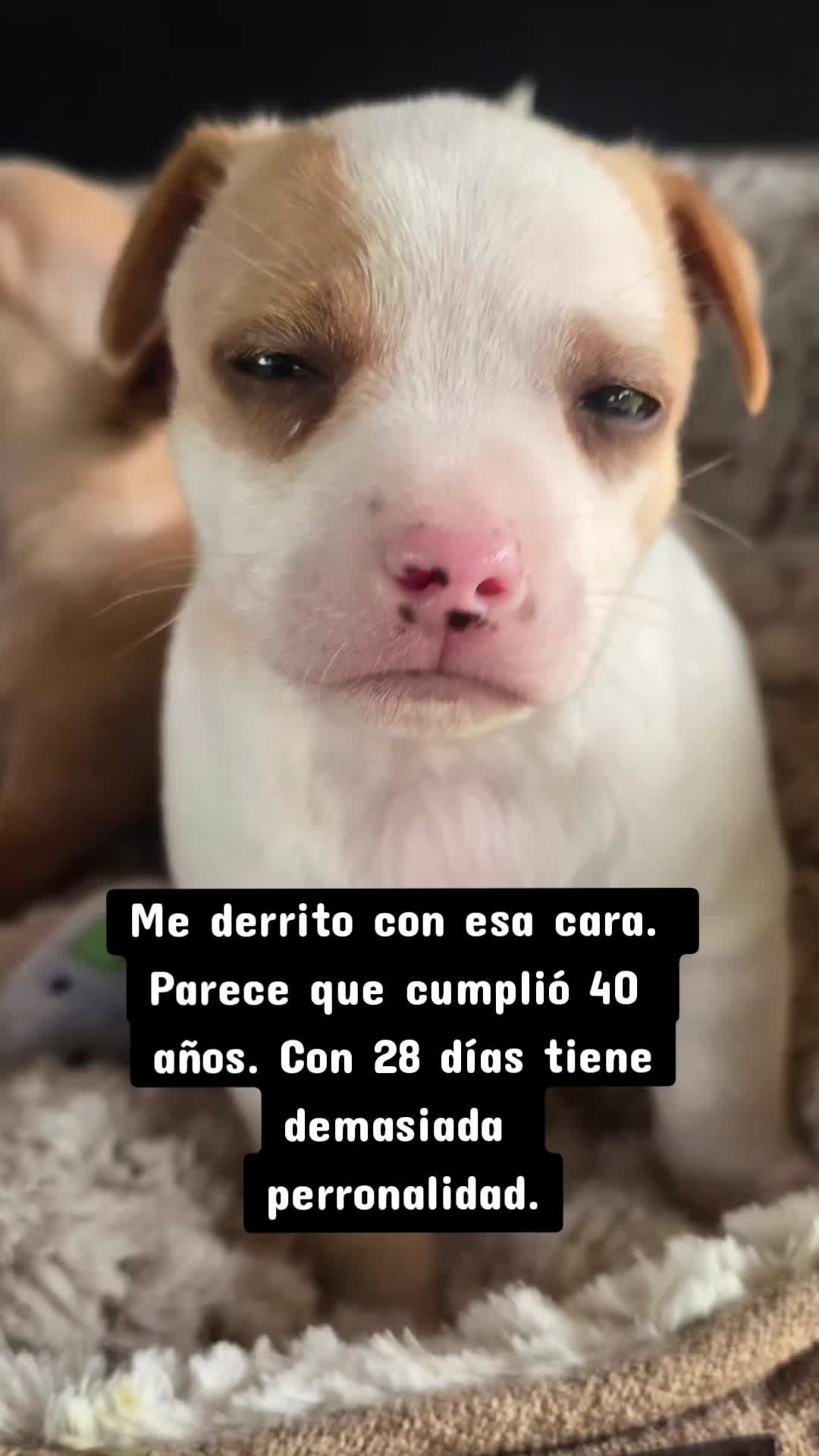 @Mai perdomo