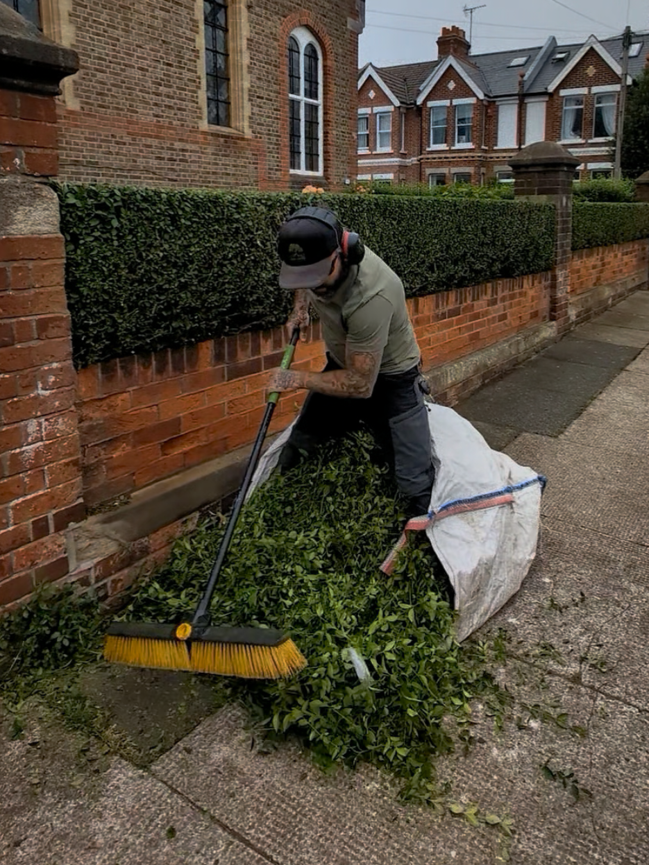 @Gary Hall Garden Services