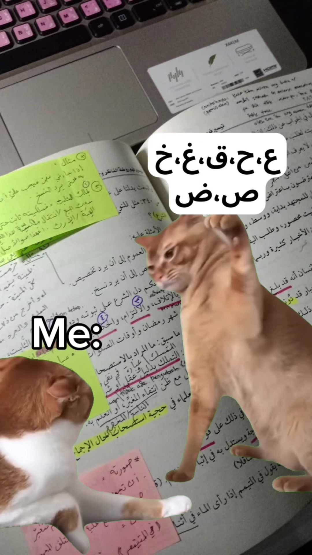 @The Safeer Arabic School