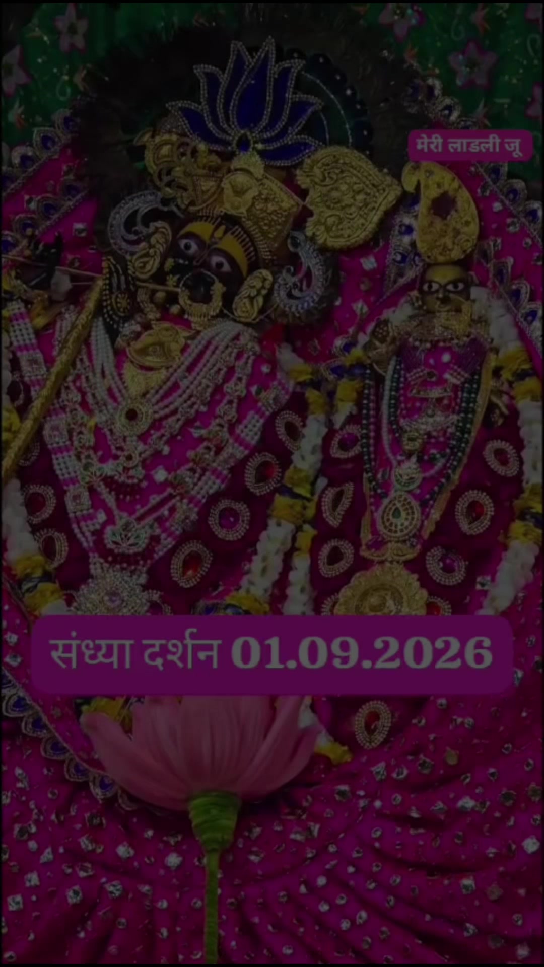 @Neelam Kumari