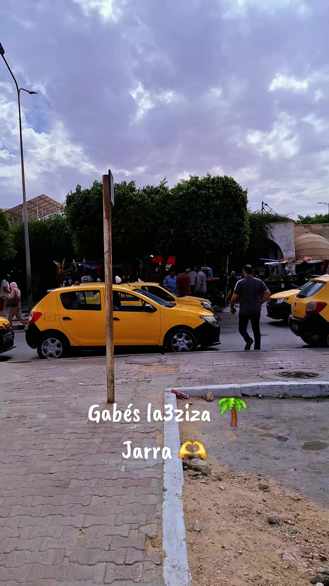 @حفيظي أمين
