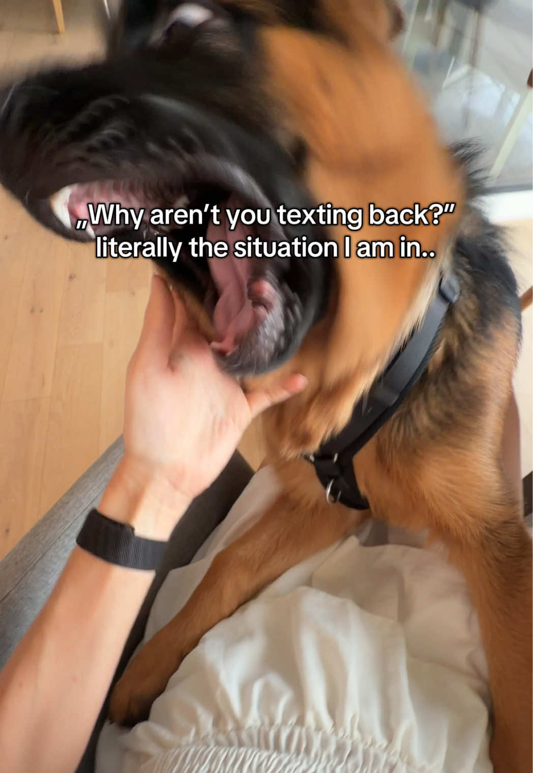 @gsd.kuba