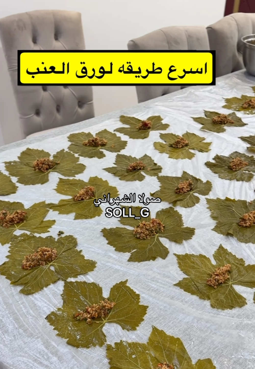 @صولا&ensp;الشهراني   أبها