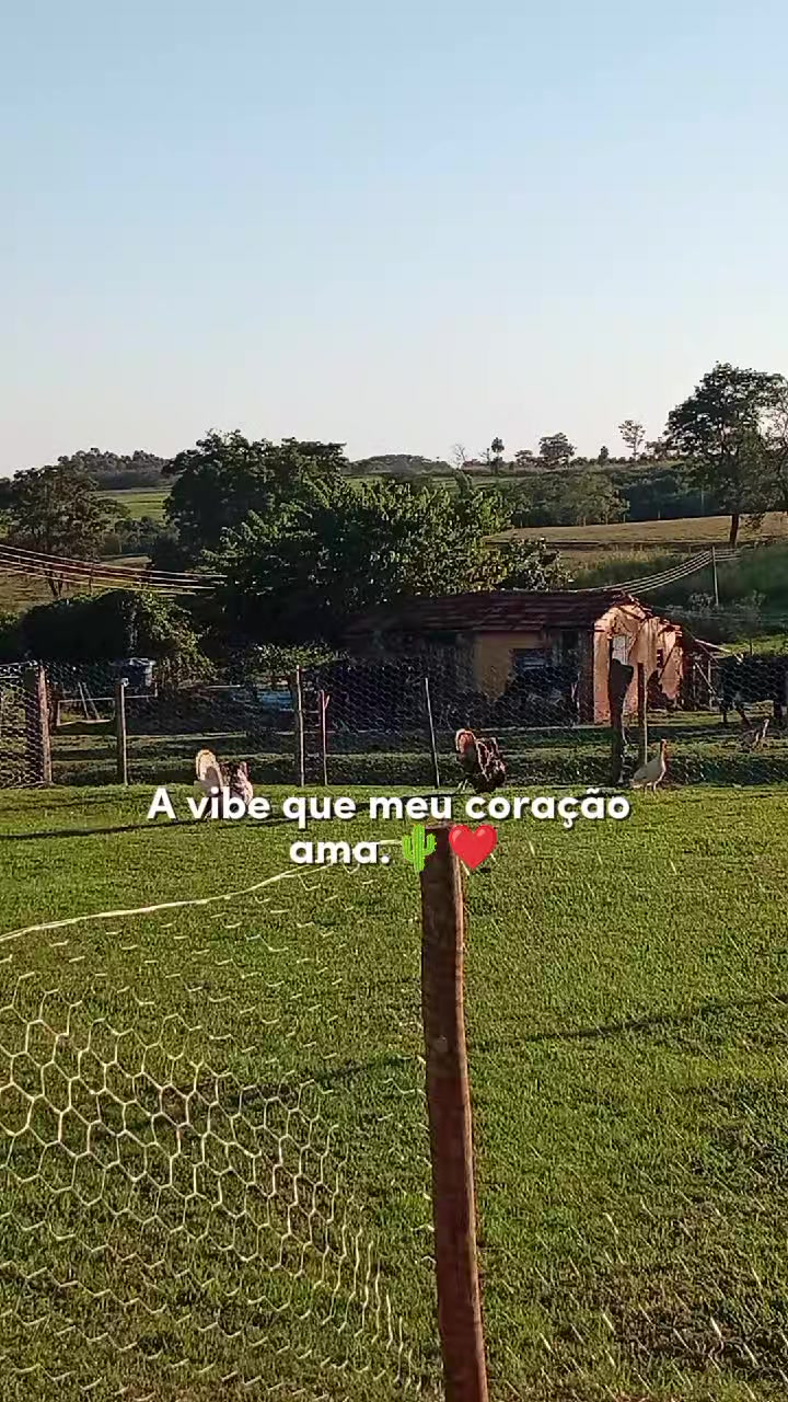 @Alessandra Flores
