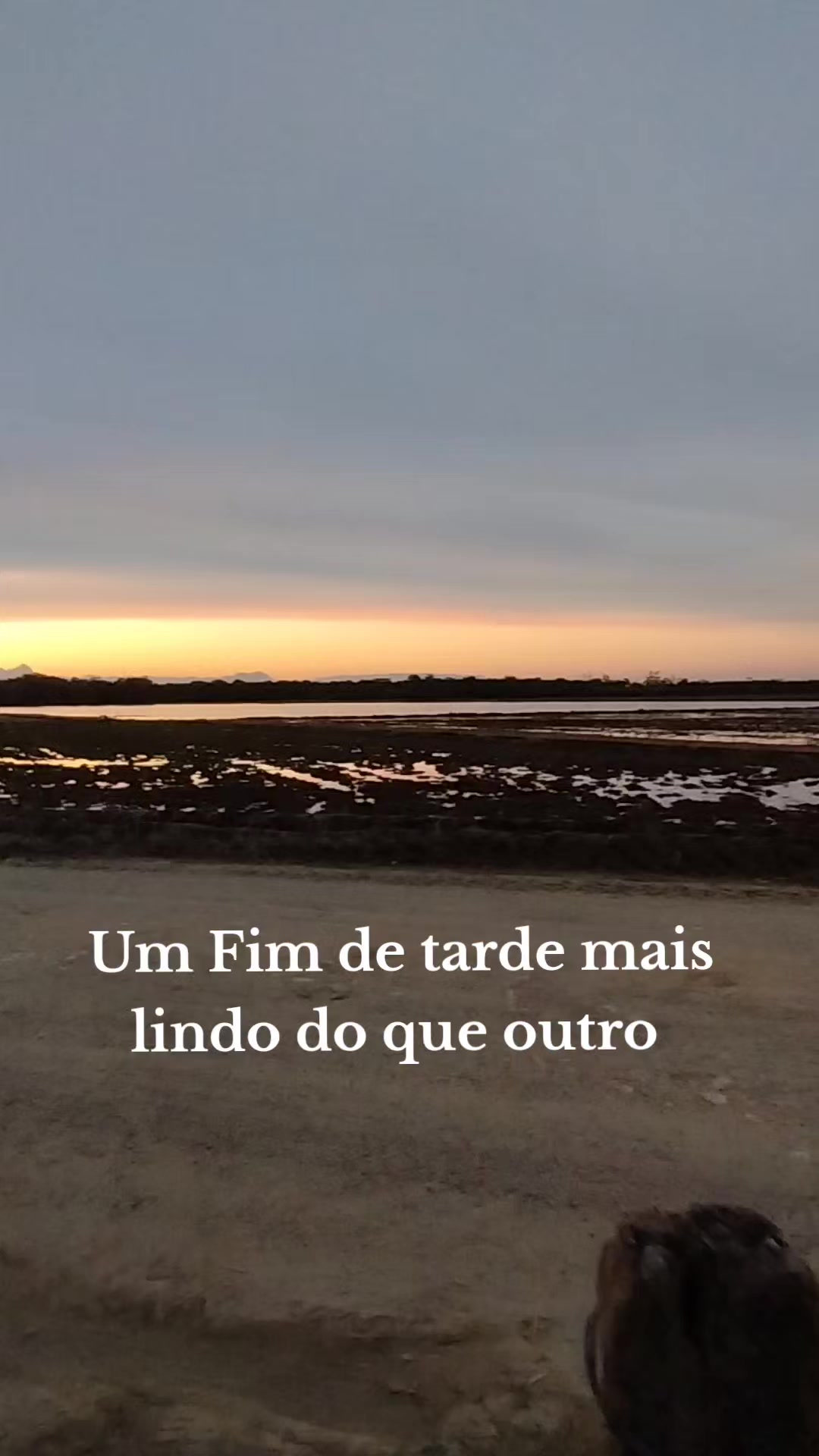 @Se Tu Bora Eu Boro 🛻