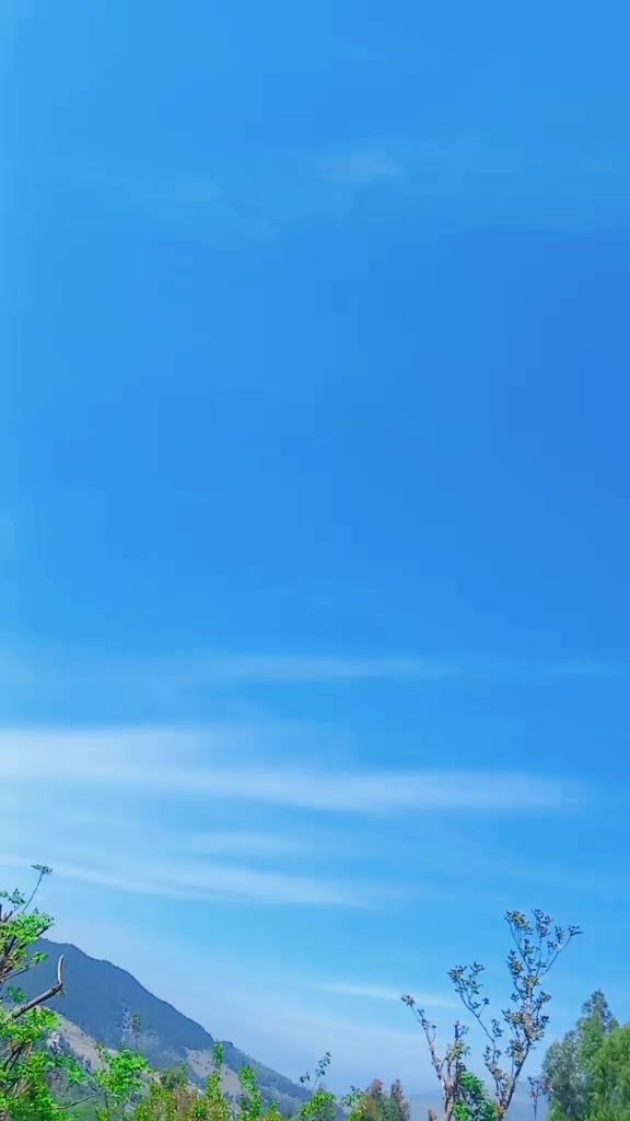 @salman Khan804🇵🇰