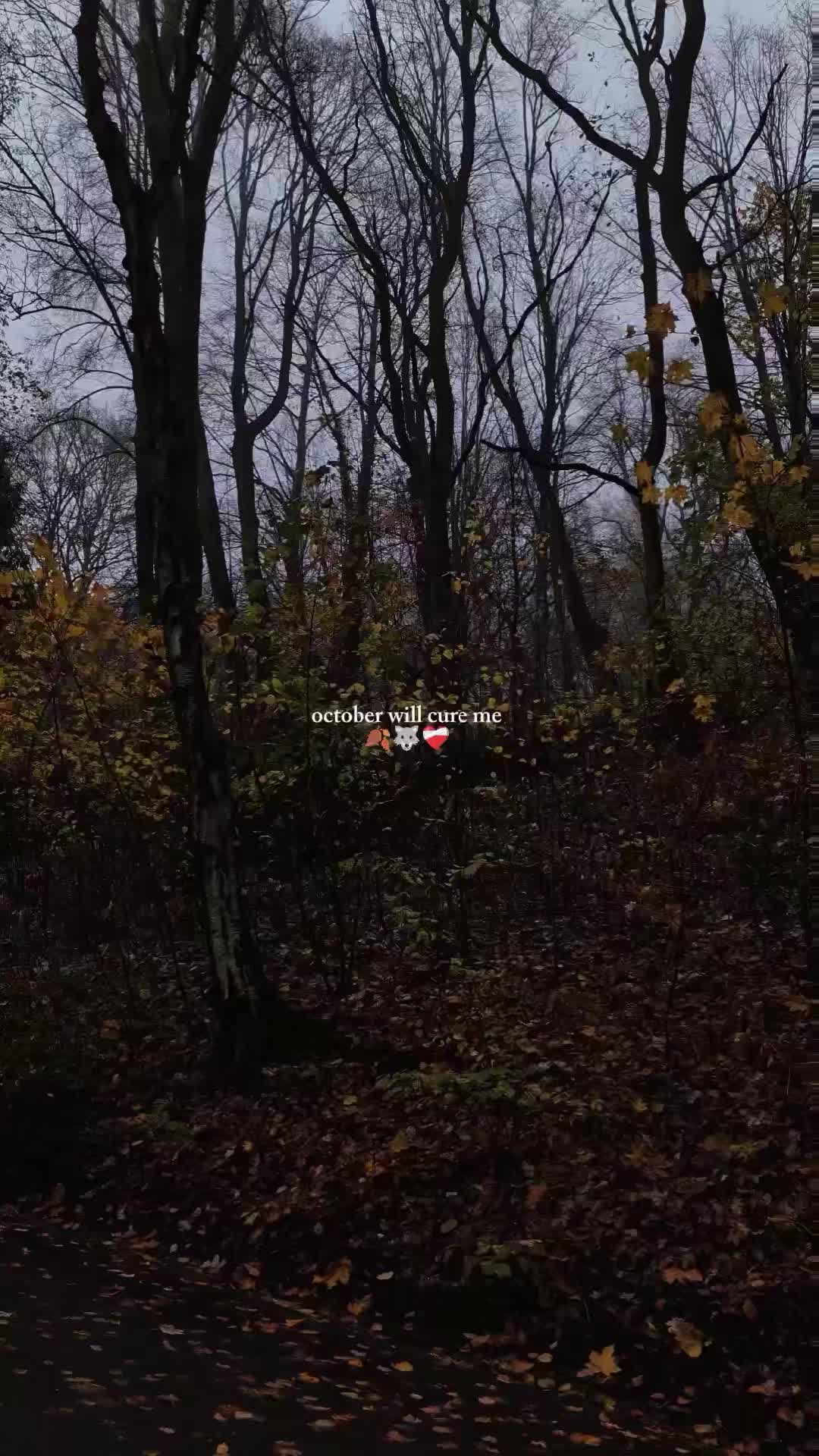 @anni 🌧️